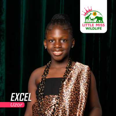 Excel Uzor
