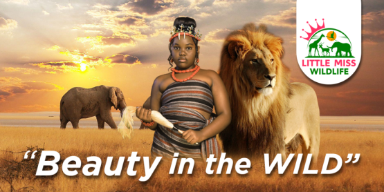 little miss wildlife 2024